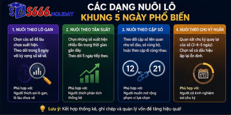 Các Dạng Nuôi Lô Khung 5 Ngày Phổ Biến